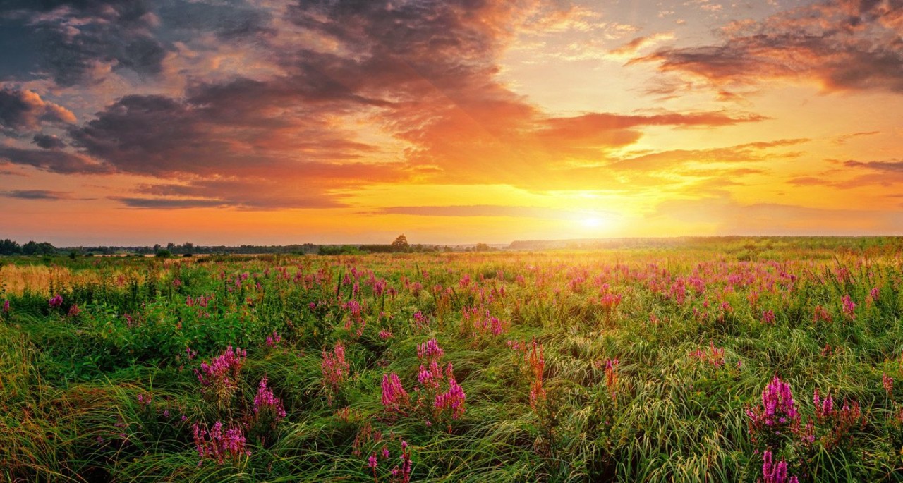 preparation-and-perseverance-banner